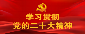 學(xué)習(xí)貫徹黨的二十大精神