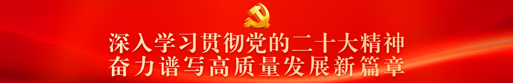 學(xué)習(xí)二十大